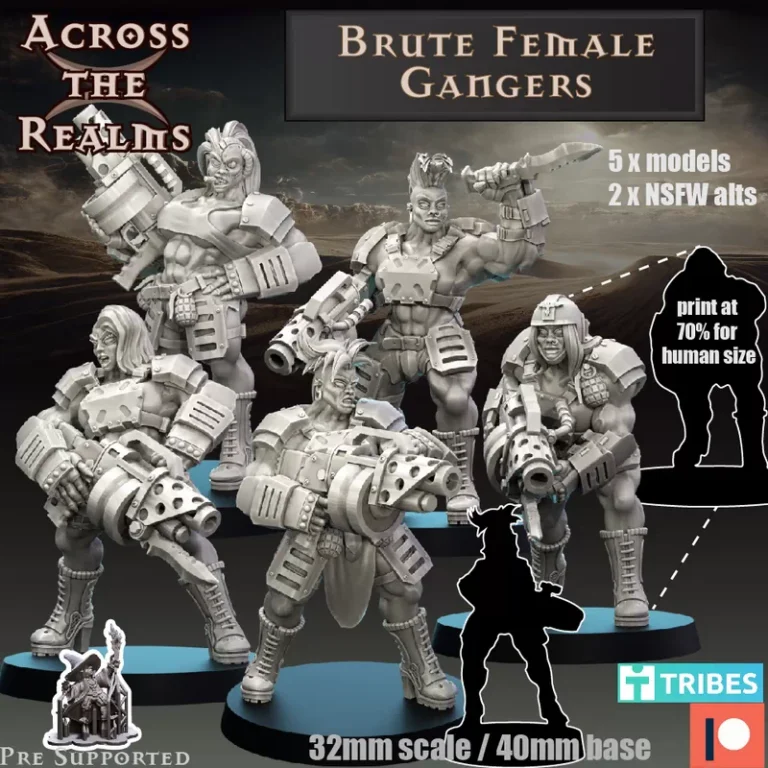 Brute Female Gangers , Free 3d Model STL.