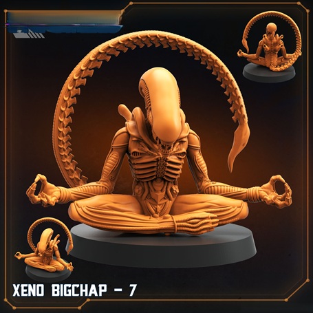 Xeno Bigchap 7