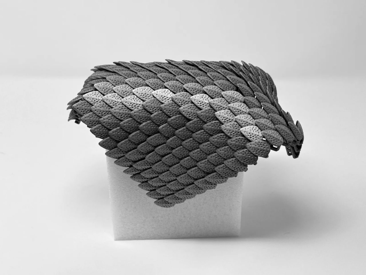 5373301634496585612_121