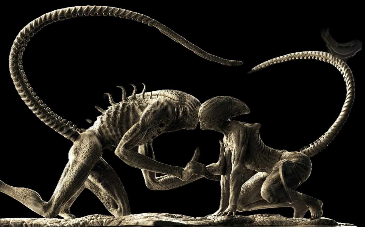 photo_2021-11-02_12-55-23