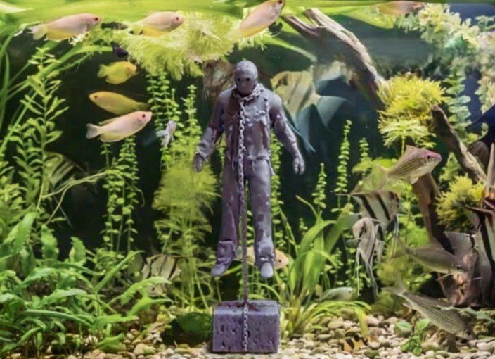 photo_2022-06-23_11-01-46