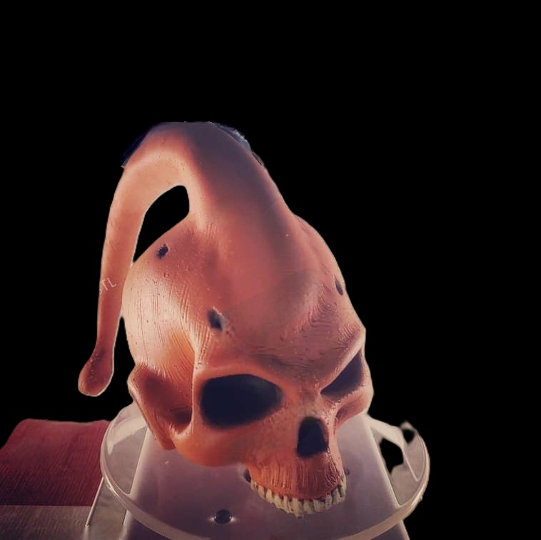 photo_2021-07-14_16-58-29